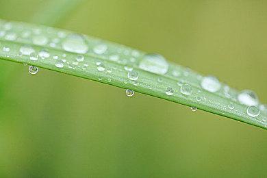 Konami公布《游戏王：大师对决》和新手游